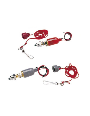 Ignition cut-off device (complying with regulations) - Electricity - 1491903