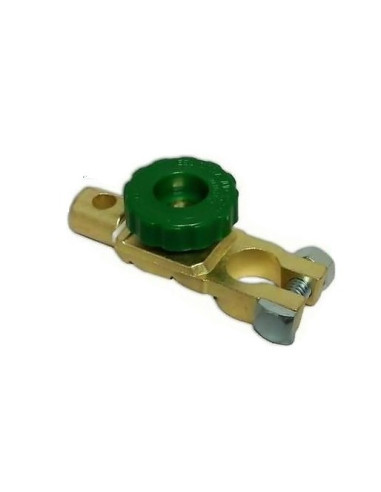 Terminal battery switches