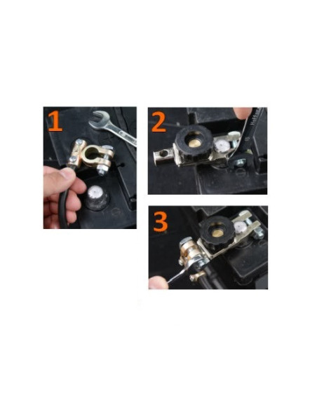 Terminal battery switches