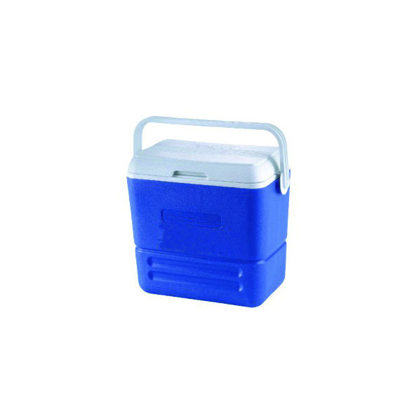 Portable ice chest for food or fished - 36 l - Portable fridge - D4336000