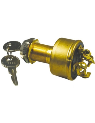 Ignition key- Electricity - 1491830