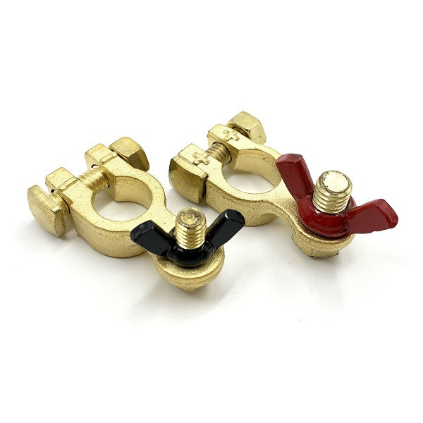 Coppia di morsetti in bronzo per batterie -  - L0670414