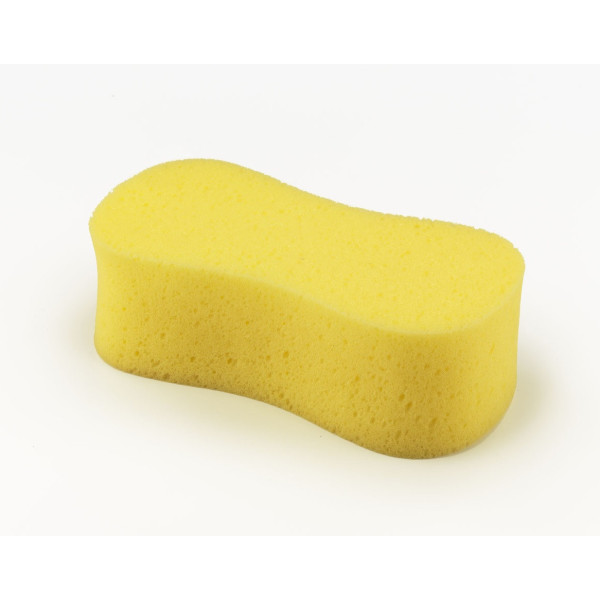 Sponge - N5880210 -