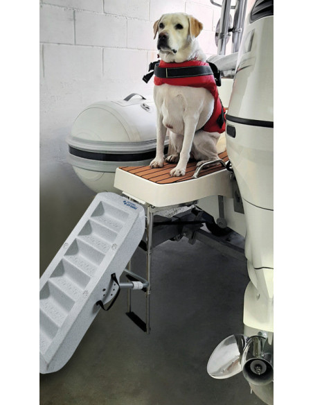 Scaletta per cani Paws Up - 49.538.20 -