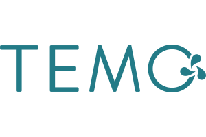 Motore fuoribordo portatile elettrico TEMO
